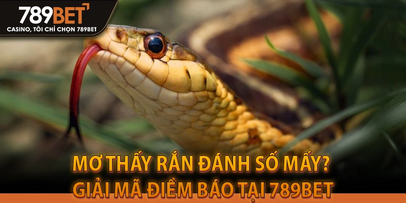 Mơ Thấy Rắn Đánh Số Mấy? Giải Mã Điềm Báo Tại 789BET