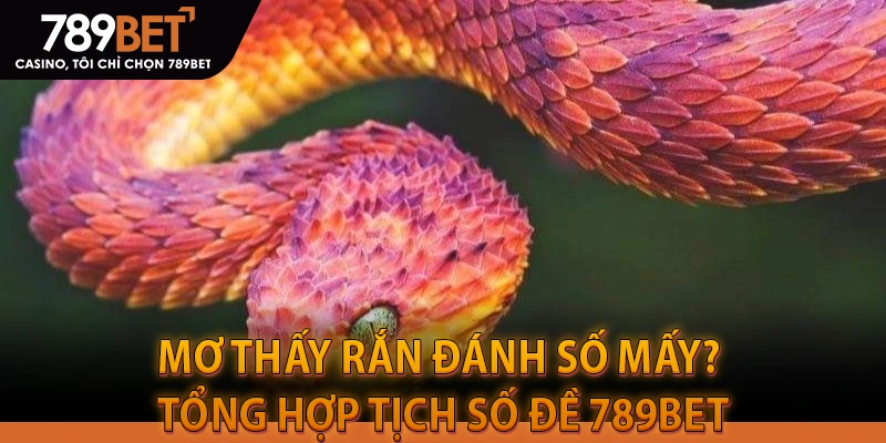 Mơ Thấy Rắn Đánh Số Mấy? Tổng Hợp Tịch Số Đề 789BET